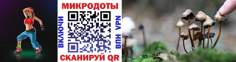 Купить  Самара  Псилоцибиновые грибы мицелий 